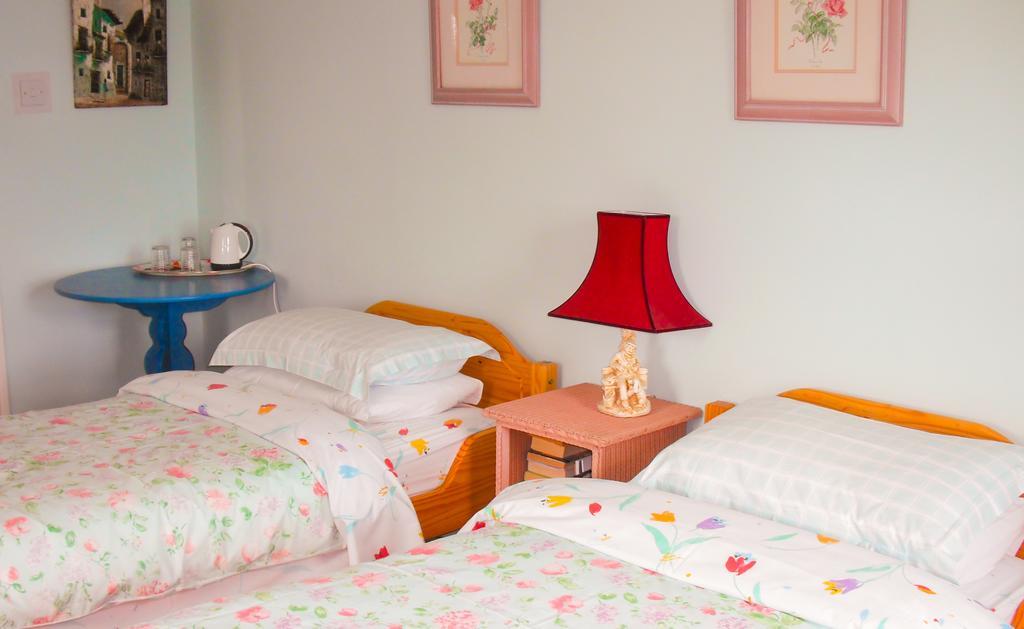 The Well Meadow B&B Nenagh Quarto foto