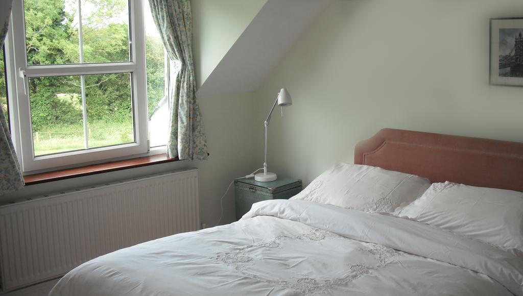 The Well Meadow B&B Nenagh Quarto foto