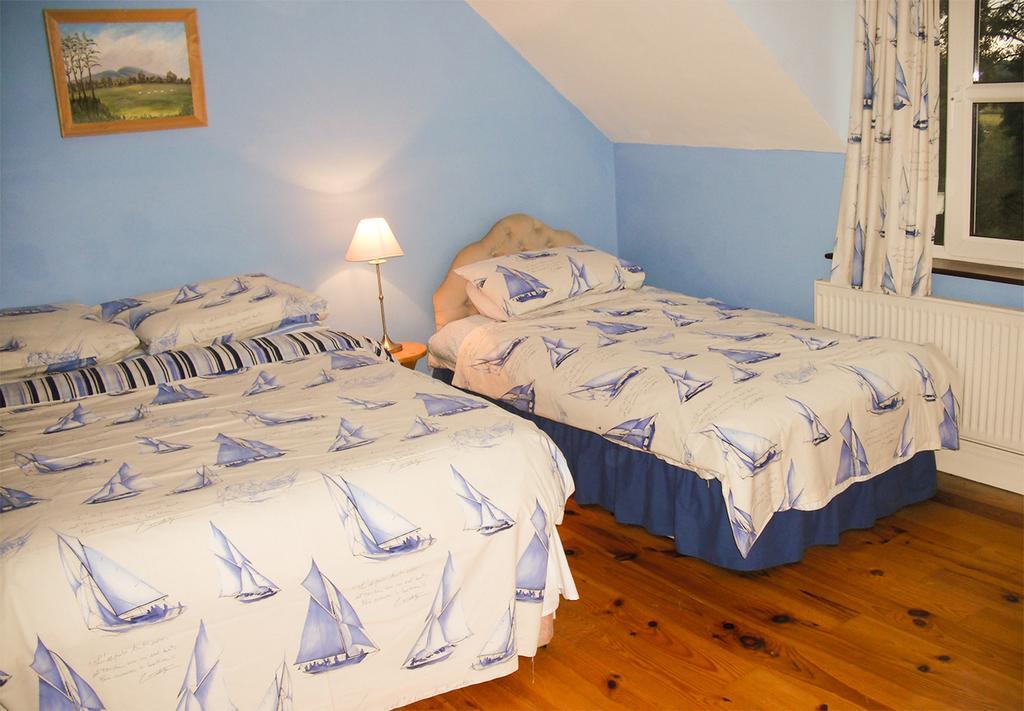 The Well Meadow B&B Nenagh Quarto foto