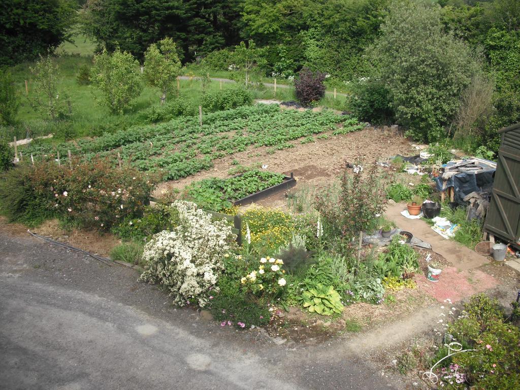 The Well Meadow B&B Nenagh Quarto foto